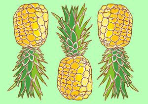 Pineapple Express Strain Information